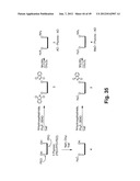 MODIFIED MACROMOLECULES AND ASSOCIATED METHODS OF SYNTHESIS AND USE diagram and image