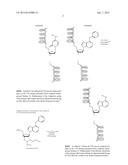 COMPOUNDS FOR THE SYNTHETIC INTRODUCTION OF N-ALKYL NUCLEOSIDES INTO DNA     OLIGONUCLEOTIDES diagram and image