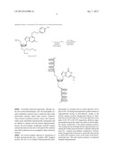 COMPOUNDS FOR THE SYNTHETIC INTRODUCTION OF N-ALKYL NUCLEOSIDES INTO DNA     OLIGONUCLEOTIDES diagram and image