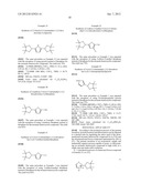 PRODUCTION PROCESS OF A HETEROARYL-TYPE BORON COMPOUNDS WITH IRIDIUM     CATALYST diagram and image