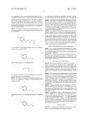PROCESSES FOR THE PREPARATION OF 5-HT2C RECEPTOR AGONISTS diagram and image