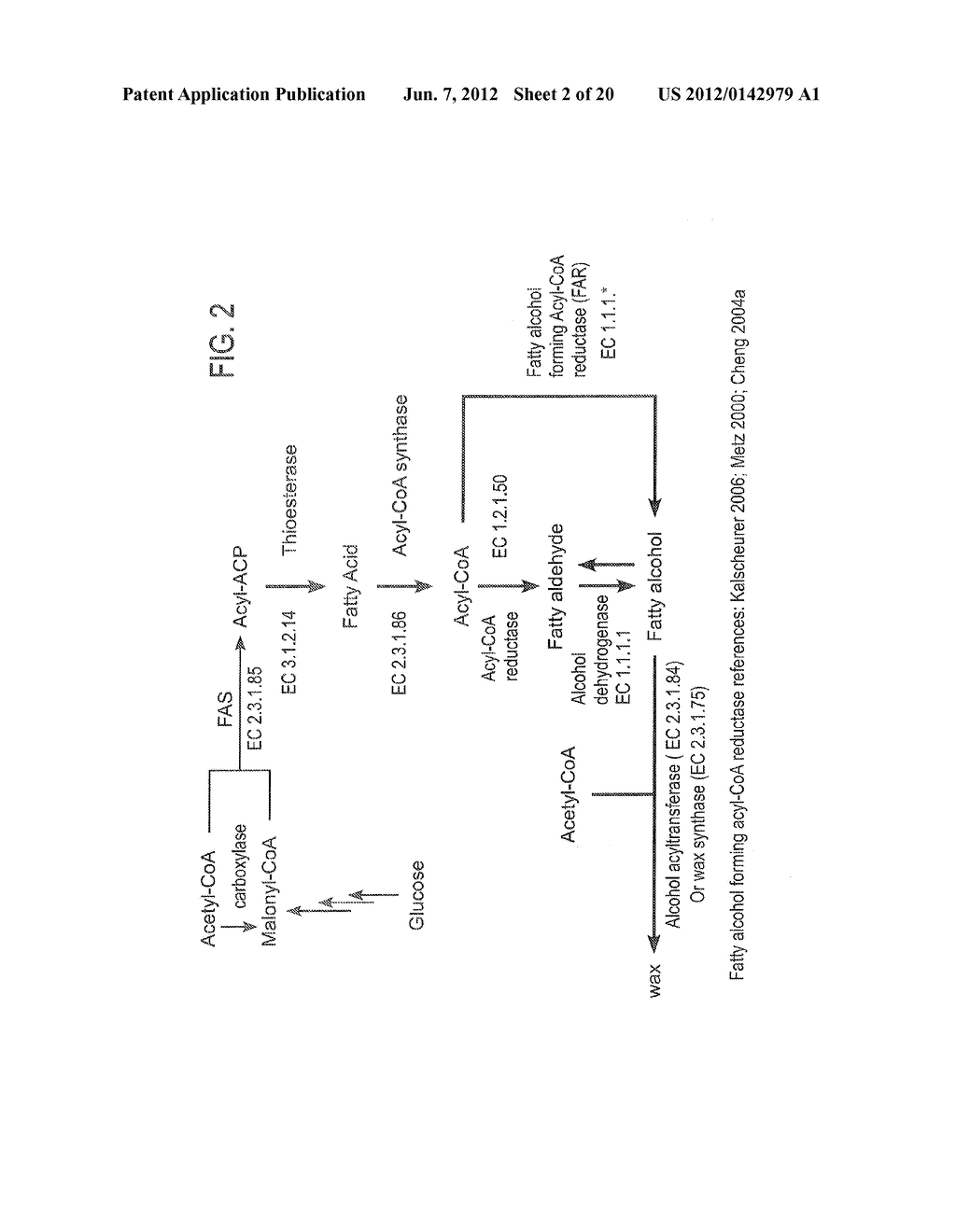 PRODUCTION OF FATTY ACIDS & DERIVATIVES THEREOF - diagram, schematic, and image 03