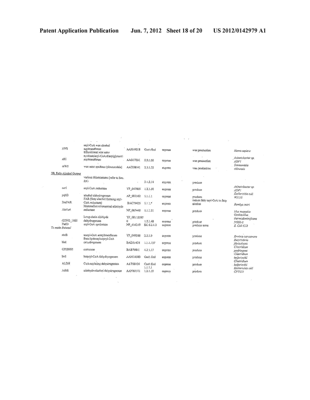 PRODUCTION OF FATTY ACIDS & DERIVATIVES THEREOF - diagram, schematic, and image 19