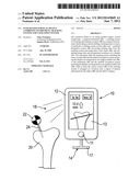 INTEGRATED SURGICAL DEVICE COMBINING INSTRUMENT, TRACKING SYSTEM AND     NAVIGATION SYSTEM diagram and image