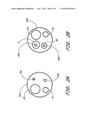 DEVICES AND SYSTEMS TO MEASURE LUMINAL ORGAN PARAMETERS USING IMPEDANCE diagram and image