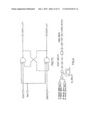 SEMICONDUCTOR MEMORY ASYNCHRONOUS PIPELINE diagram and image