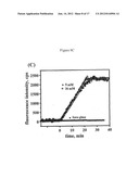 NANOPATTERNED SURFACES AND RELATED METHODS FOR SELECTIVE ADHESION, SENSING     AND SEPARATION diagram and image