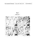 Basecoat and Associated Paperboard Structure diagram and image