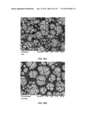 METHODS AND COMPOSITIONS USING CALCIUM CARBONATE diagram and image