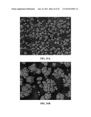 METHODS AND COMPOSITIONS USING CALCIUM CARBONATE diagram and image