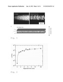 ANISOTROPIC CONDUCTIVE POLYMER MATERIAL diagram and image