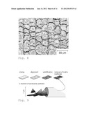 ANISOTROPIC CONDUCTIVE POLYMER MATERIAL diagram and image