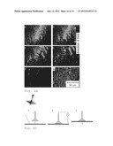 ANISOTROPIC CONDUCTIVE POLYMER MATERIAL diagram and image