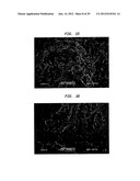 Method of Making a Fabric-Creped Absorbent Cellulosic Sheet diagram and image