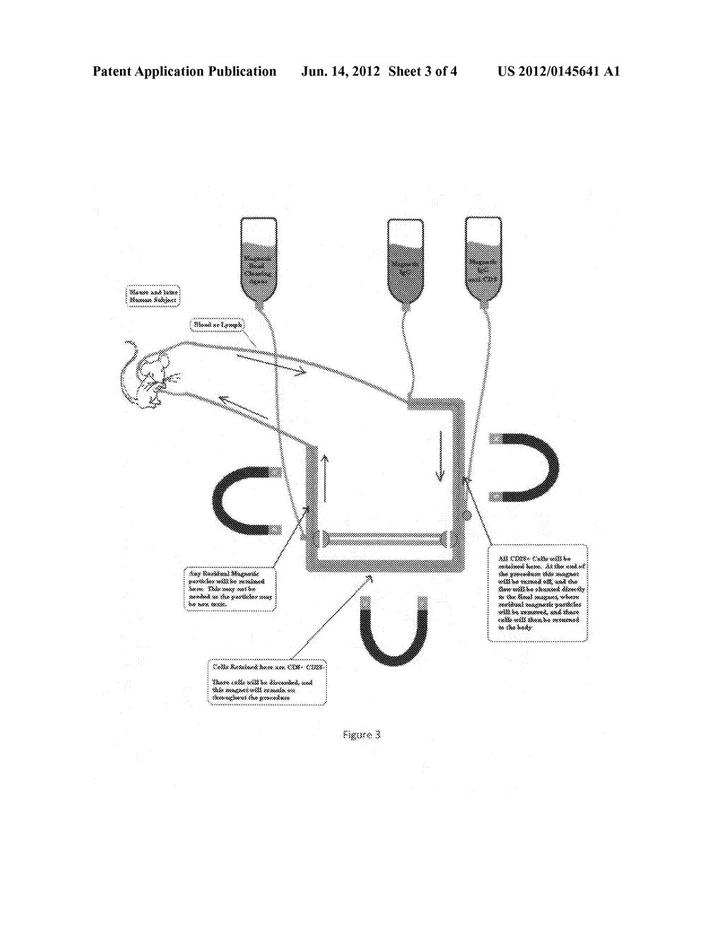 Method and Apparatus for removing senescent cells - diagram, schematic, and image 04