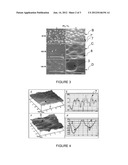  METHOD OF TEXTURING THE SURFACE OF A SILICON SUBSTRATE, AND TEXTURED     SILICON SUBSTRATE FOR A SOLAR CELL diagram and image