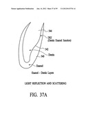 Apparatus and method for measuring optical characterstics of an object diagram and image