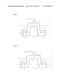 Safety Fish Way diagram and image