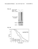 INCREASING LIFESPAN BY MODULATION OF WWP-1 AND UBC-18 diagram and image