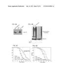 INCREASING LIFESPAN BY MODULATION OF WWP-1 AND UBC-18 diagram and image