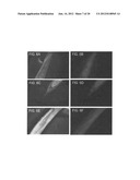 INCREASING LIFESPAN BY MODULATION OF WWP-1 AND UBC-18 diagram and image