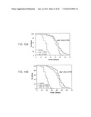 INCREASING LIFESPAN BY MODULATION OF WWP-1 AND UBC-18 diagram and image