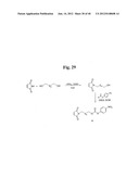 MONOMETHYLVALINE COMPOUNDS CAPABLE OF CONJUGATION TO LIGANDS diagram and image