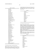 MONOMETHYLVALINE COMPOUNDS CAPABLE OF CONJUGATION TO LIGANDS diagram and image