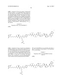 MONOMETHYLVALINE COMPOUNDS CAPABLE OF CONJUGATION TO LIGANDS diagram and image