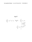 MONOMETHYLVALINE COMPOUNDS CAPABLE OF CONJUGATION TO LIGANDS diagram and image