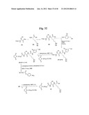 MONOMETHYLVALINE COMPOUNDS CAPABLE OF CONJUGATION TO LIGANDS diagram and image