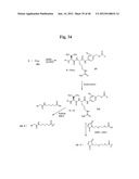 MONOMETHYLVALINE COMPOUNDS CAPABLE OF CONJUGATION TO LIGANDS diagram and image