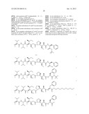 MONOMETHYLVALINE COMPOUNDS CAPABLE OF CONJUGATION TO LIGANDS diagram and image