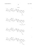 MONOMETHYLVALINE COMPOUNDS CAPABLE OF CONJUGATION TO LIGANDS diagram and image