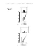 Interaction of Moraxella Catarrhalis with Epithelial Cells, Extracellular     Matrix Proteins and the Complement System diagram and image