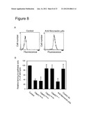 Interaction of Moraxella Catarrhalis with Epithelial Cells, Extracellular     Matrix Proteins and the Complement System diagram and image