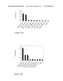 Interaction of Moraxella Catarrhalis with Epithelial Cells, Extracellular     Matrix Proteins and the Complement System diagram and image