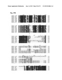 Interaction of Moraxella Catarrhalis with Epithelial Cells, Extracellular     Matrix Proteins and the Complement System diagram and image