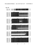 Interaction of Moraxella Catarrhalis with Epithelial Cells, Extracellular     Matrix Proteins and the Complement System diagram and image