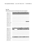 Interaction of Moraxella Catarrhalis with Epithelial Cells, Extracellular     Matrix Proteins and the Complement System diagram and image