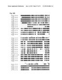 Interaction of Moraxella Catarrhalis with Epithelial Cells, Extracellular     Matrix Proteins and the Complement System diagram and image