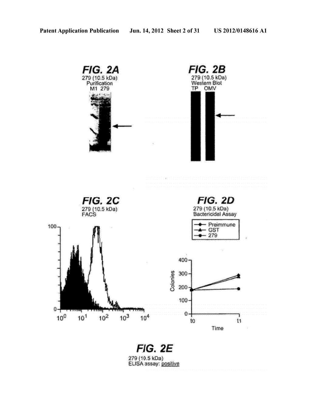 NEISSERIA MENINGITIDIS ANTIGENS AND COMPOSITIONS - diagram, schematic, and image 03