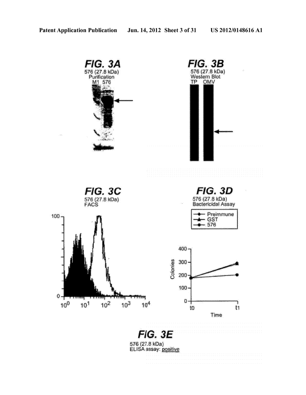 NEISSERIA MENINGITIDIS ANTIGENS AND COMPOSITIONS - diagram, schematic, and image 04