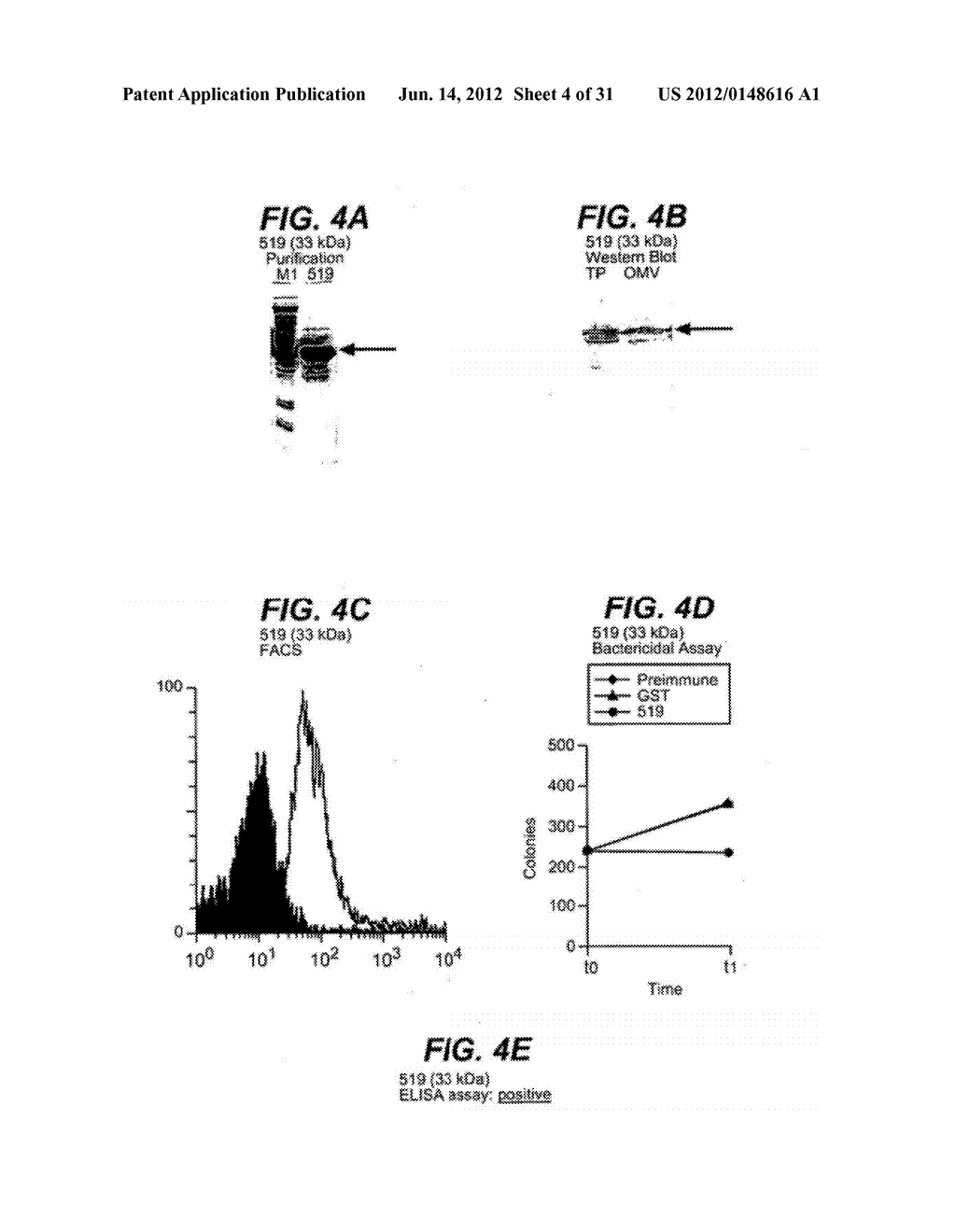 NEISSERIA MENINGITIDIS ANTIGENS AND COMPOSITIONS - diagram, schematic, and image 05