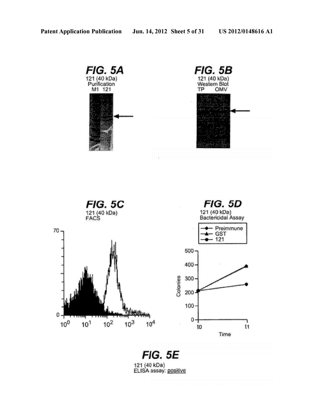 NEISSERIA MENINGITIDIS ANTIGENS AND COMPOSITIONS - diagram, schematic, and image 06