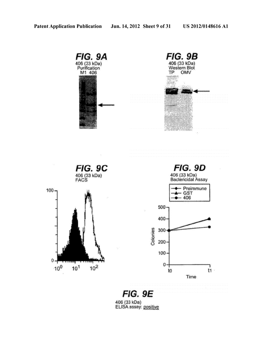 NEISSERIA MENINGITIDIS ANTIGENS AND COMPOSITIONS - diagram, schematic, and image 10