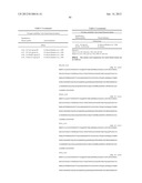 NEISSERIA MENINGITIDIS ANTIGENS AND COMPOSITIONS diagram and image