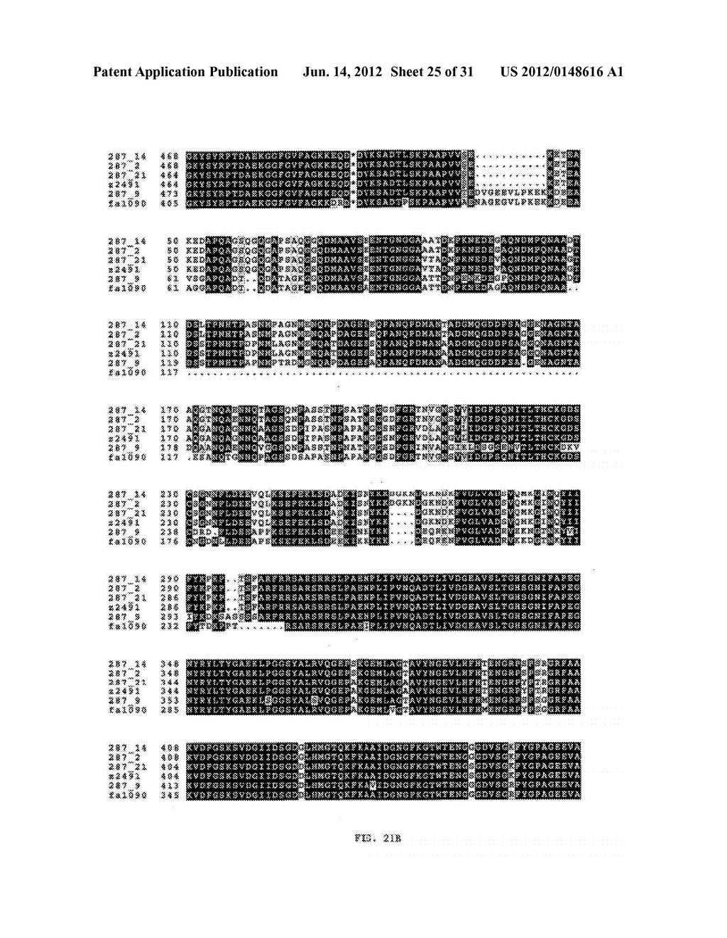 NEISSERIA MENINGITIDIS ANTIGENS AND COMPOSITIONS - diagram, schematic, and image 26