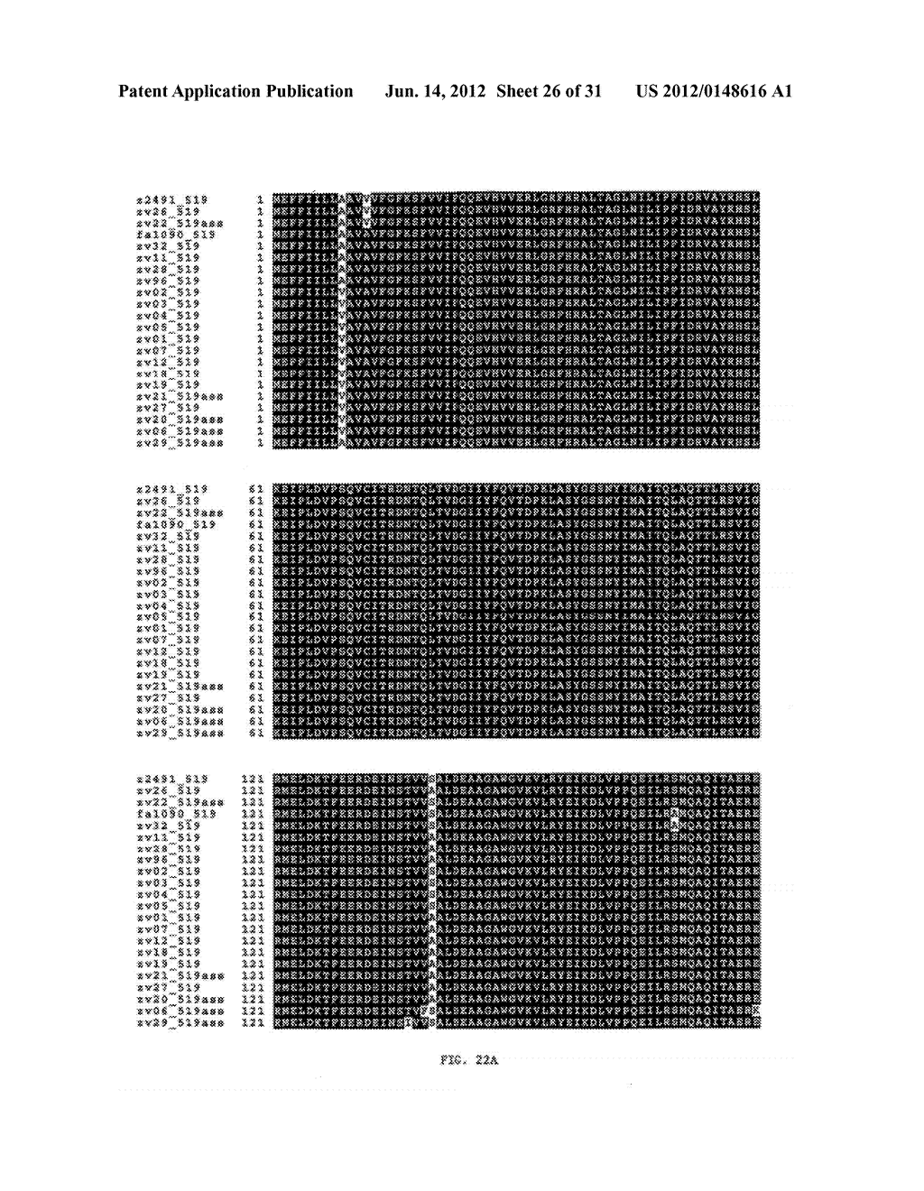 NEISSERIA MENINGITIDIS ANTIGENS AND COMPOSITIONS - diagram, schematic, and image 27