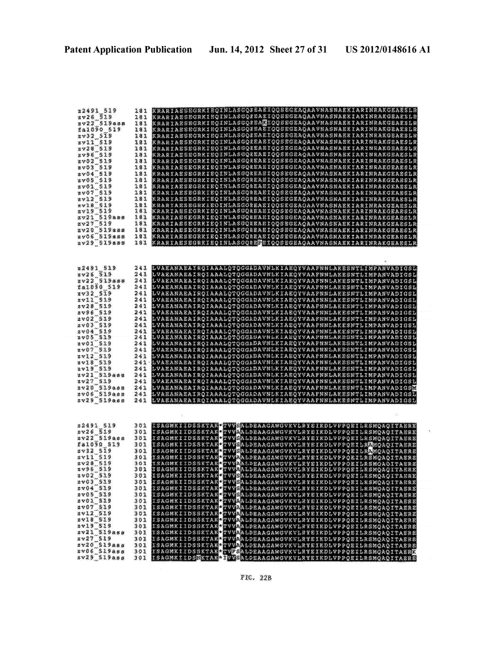 NEISSERIA MENINGITIDIS ANTIGENS AND COMPOSITIONS - diagram, schematic, and image 28